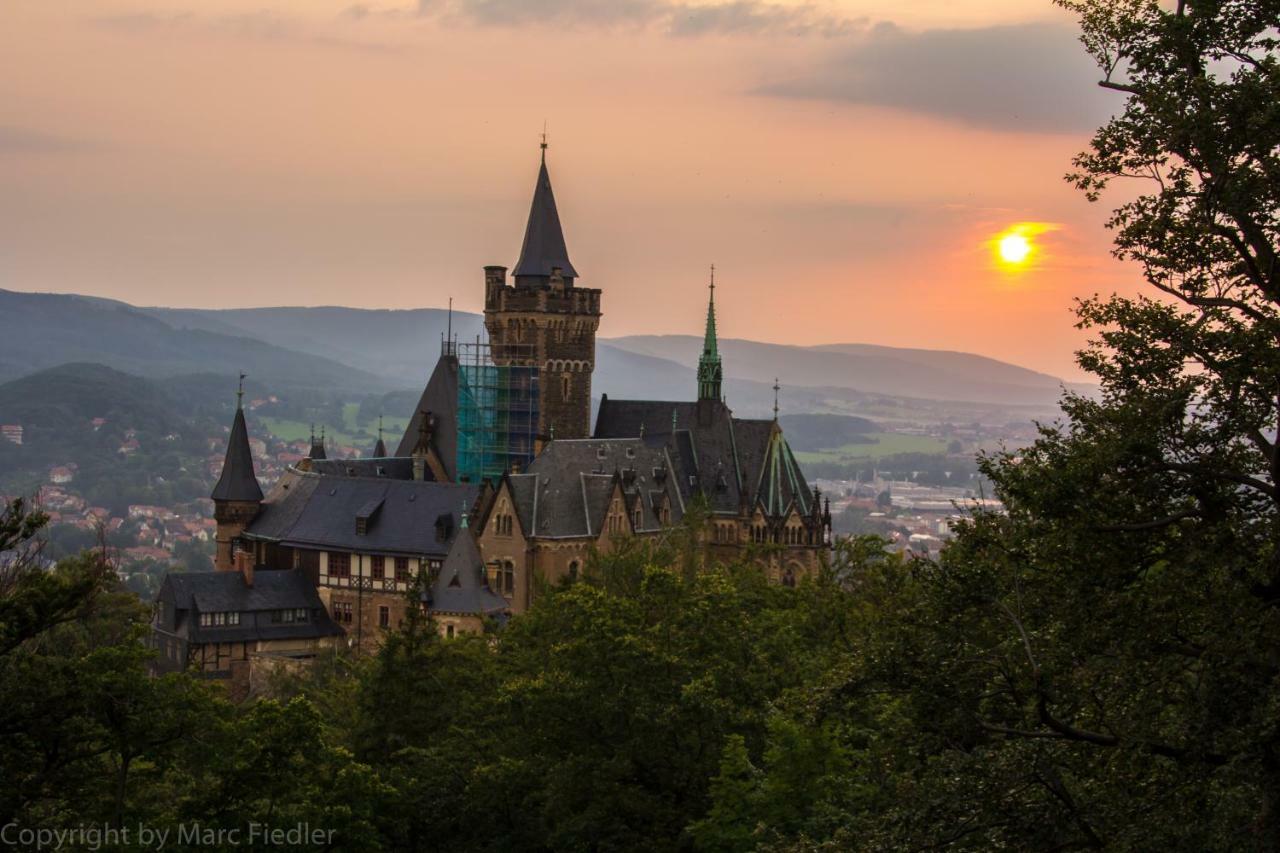 Fewo Koenigstein 2 Thale Exterior photo