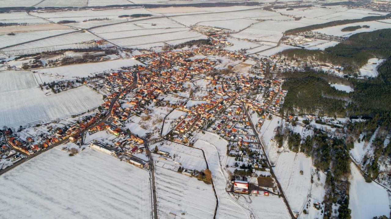 Fewo Koenigstein 2 Thale Exterior photo